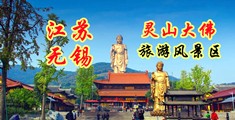 操B免费网站在线看江苏无锡灵山大佛旅游风景区