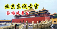 和丝袜女肏屄的视频中国北京-东城古宫旅游风景区